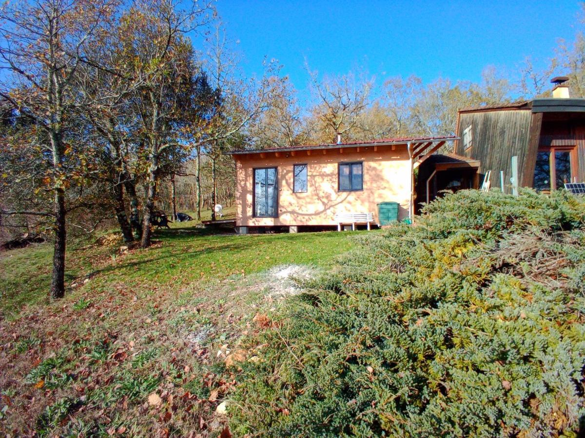 Maison Dans Un Ecrin De Verdure Saint-Leon-sur-Vezere Exterior foto